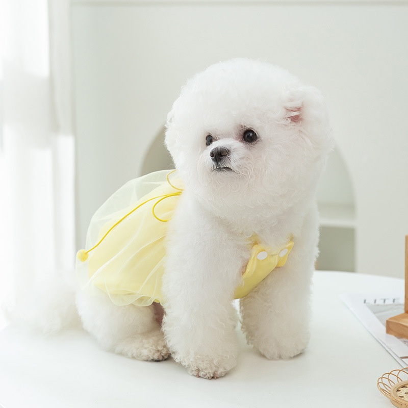 Váy Công Chúa Hai Chân Đính Nơ Bướm Mỏng Mùa Hè Dành Cho Thú Cưng