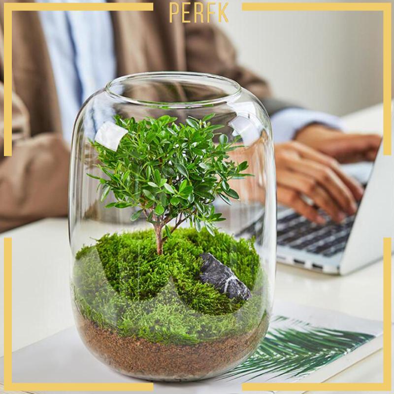 Bình Hoa Thủy Tinh Trong Suốt Thiết Kế Độc Đáo Trang Trí Nhà Cửa