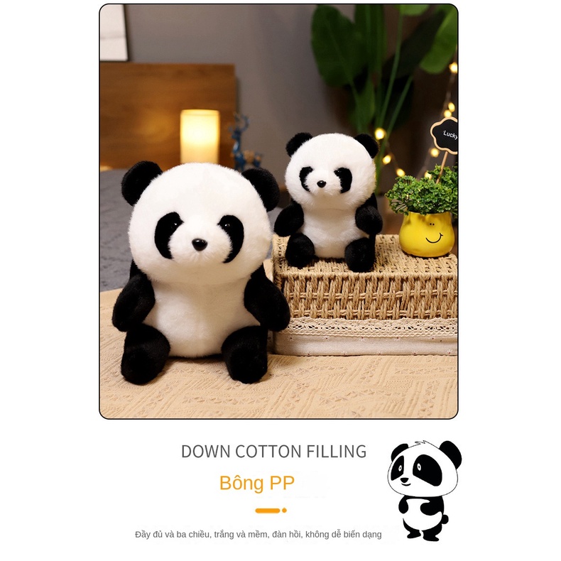 Thú Nhồi Bông Hình Gấu Trúc Hoạt Hình Đáng Yêu