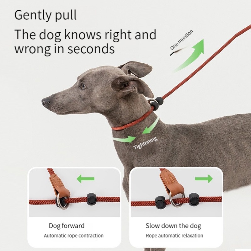 HamshMoc Dây Dắt Thú Cưng Đi Dạo Hình Chữ P Tiện Dụng