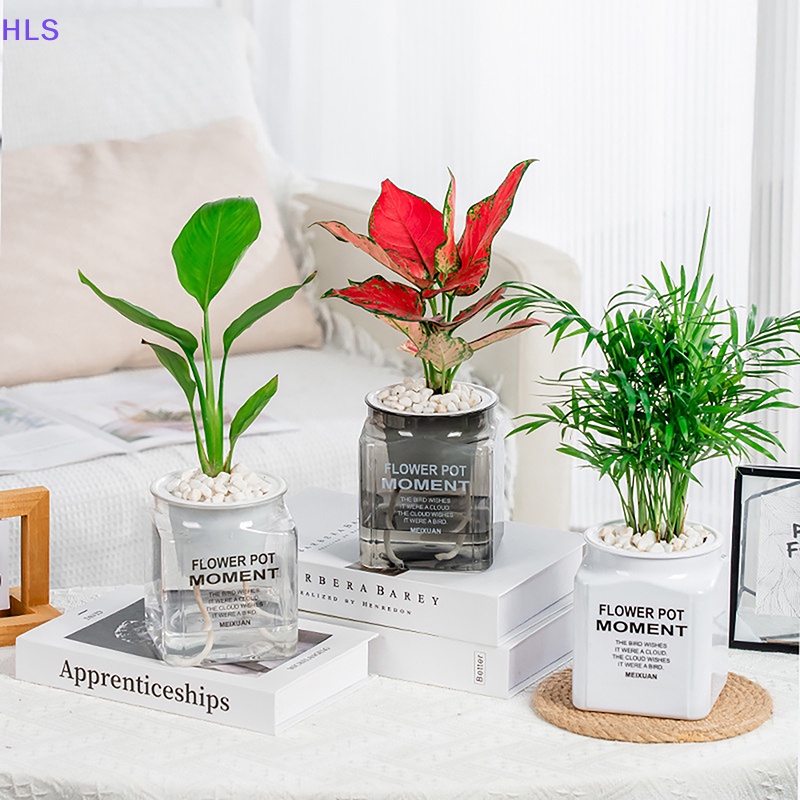 1 Chậu Trồng Cây Hình Vuông Tự Phân Hủy Nước Hiện Đại Trang Trí Nhà Cửa