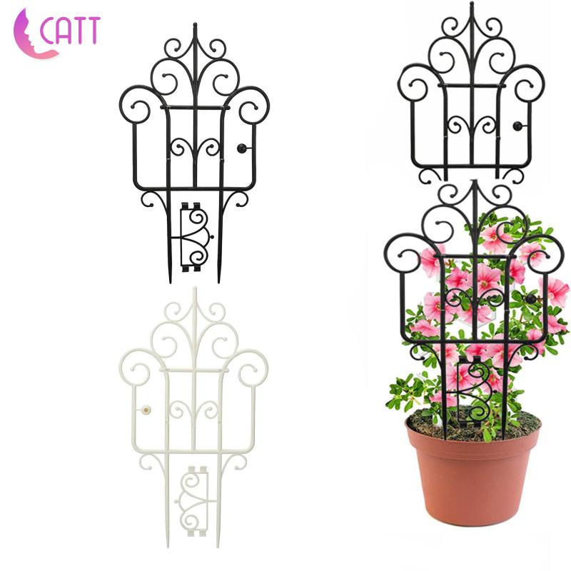 Chậu Trồng Cây Dây Leo Kích Thước 16 Inch