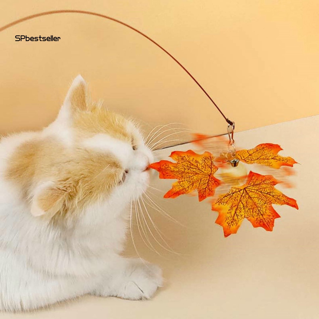 Gậy Huấn Luyện Mèo Có Thể Thay Thế Kèm Móc Tiện Dụng