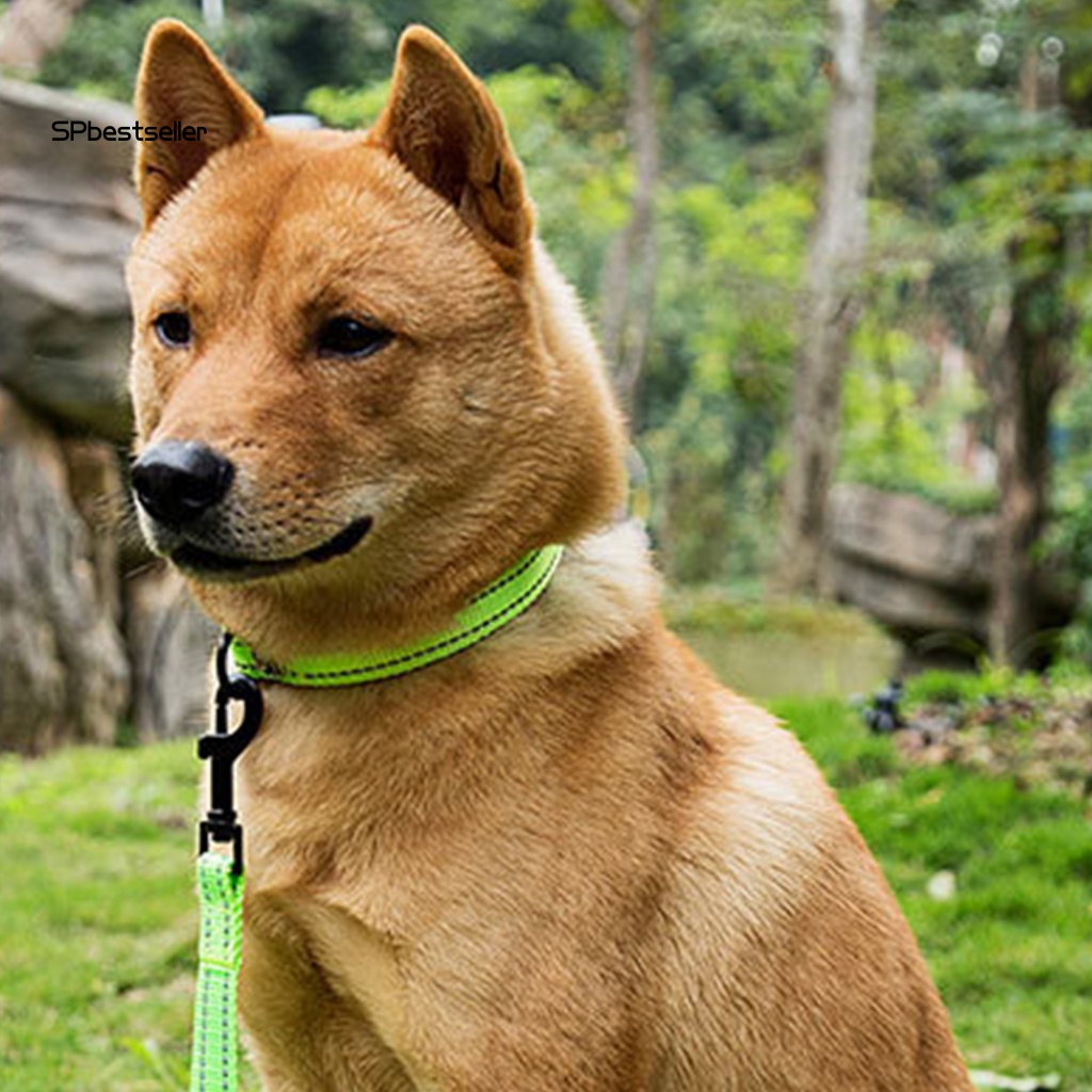 Vòng Cổ 3 Màu Dắt Bé Đi Dạo An Toàn Dễ Sử Dụng