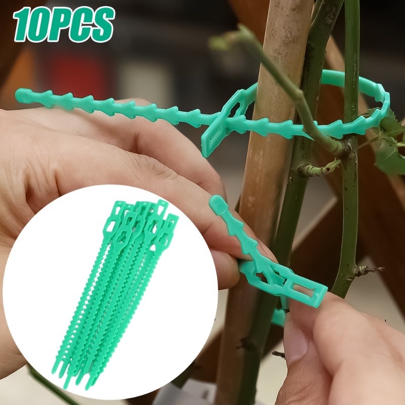 Set 10 Dây Cố Định Cây Dây Leo Bằng Nhựa Màu Xanh Lá Tùy Chỉnh Tiện Dụng Cho Sân Vườn