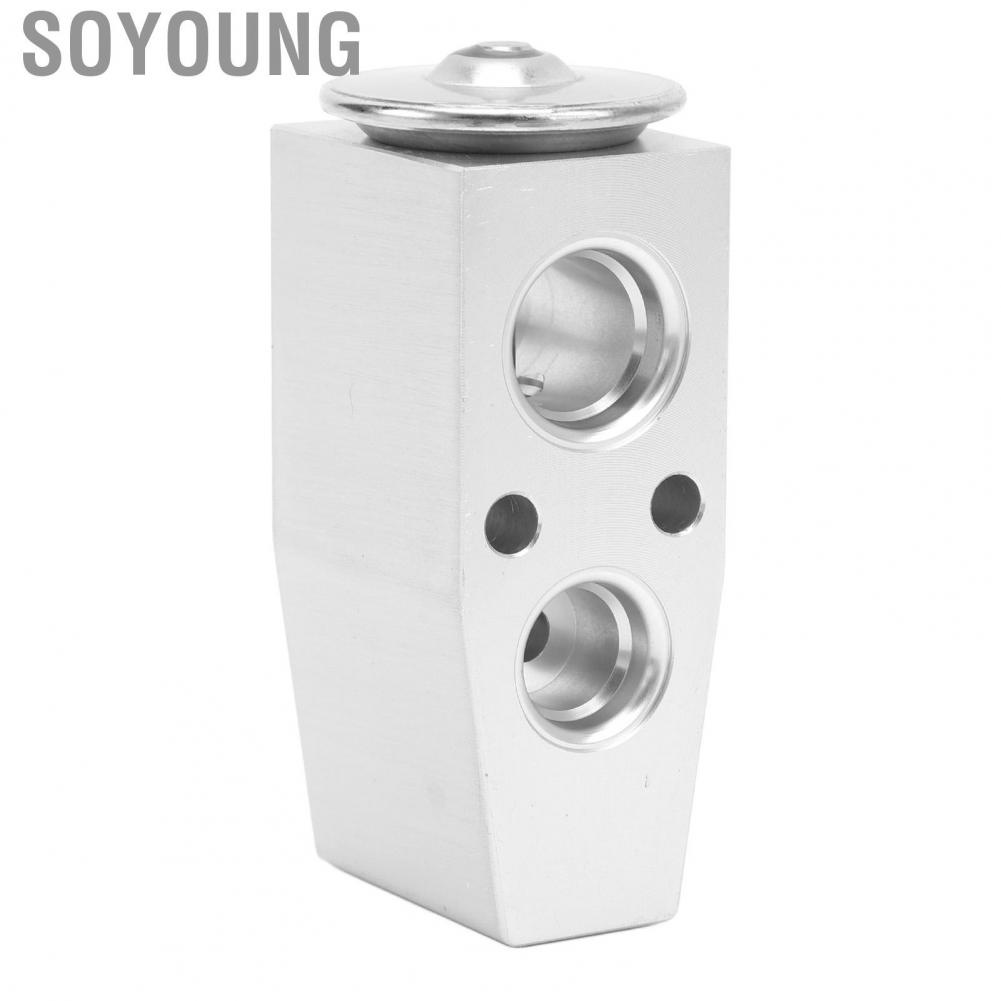 Soyoung EX 10217C  Easy To Install Durable AC Expansion Valve High Efficiency Wear Proof for Escape