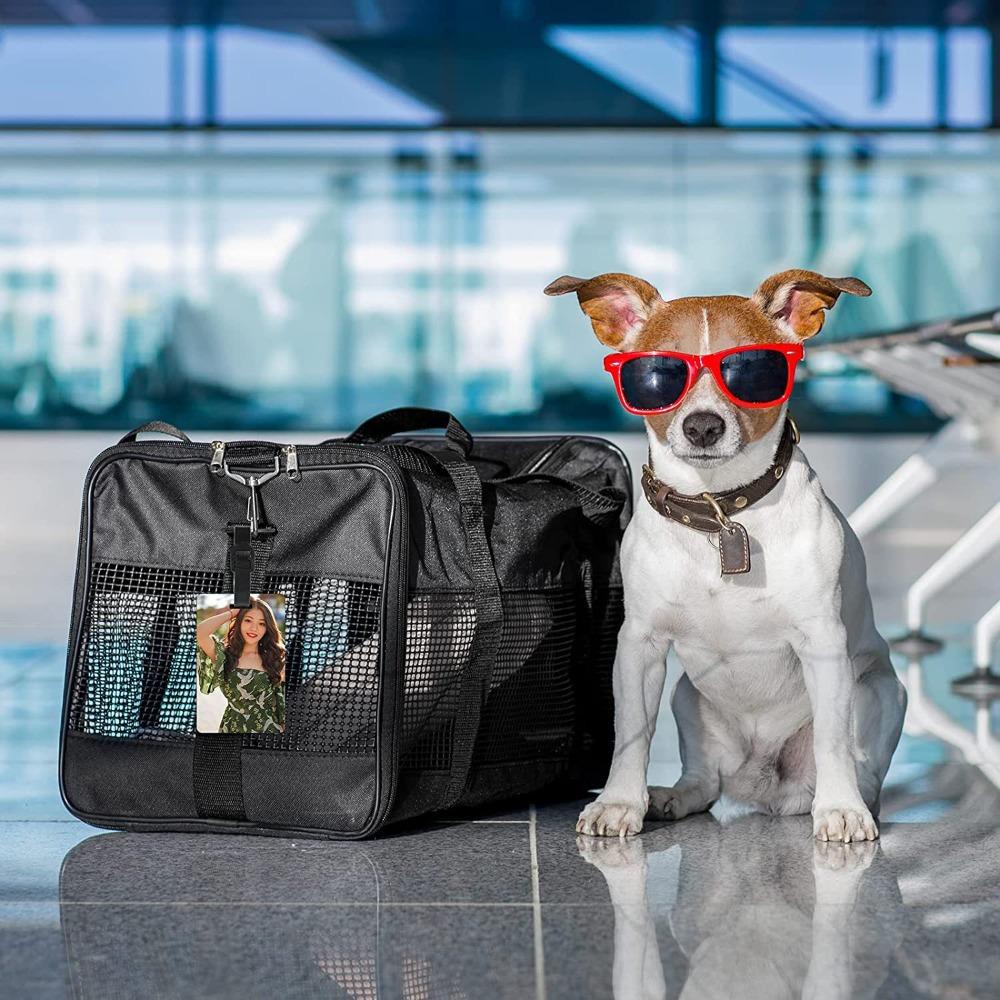 Thẻ Hành Lý Hai Mặt Có Dây Đeo Màu Trắng Trơn DIY