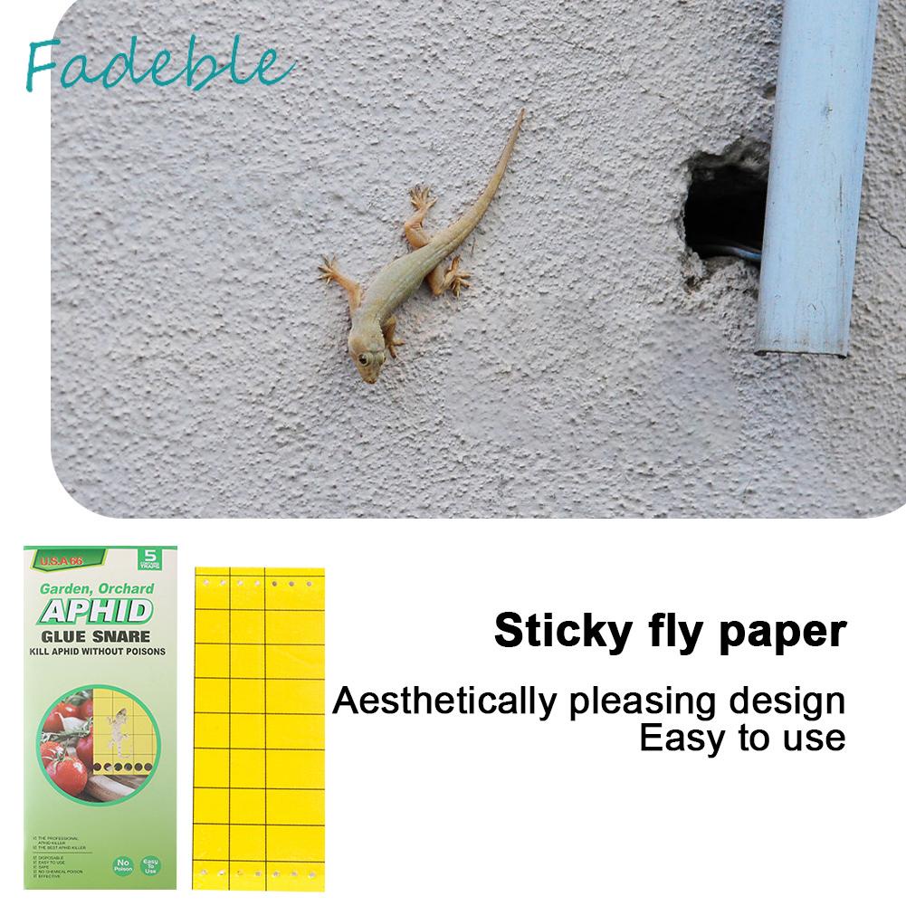 Set 3 / 5 / 6 Cuộn Giấy Bẫy Ruồi Không Độc Hại Tiện Dụng Cho Nhà Bếp