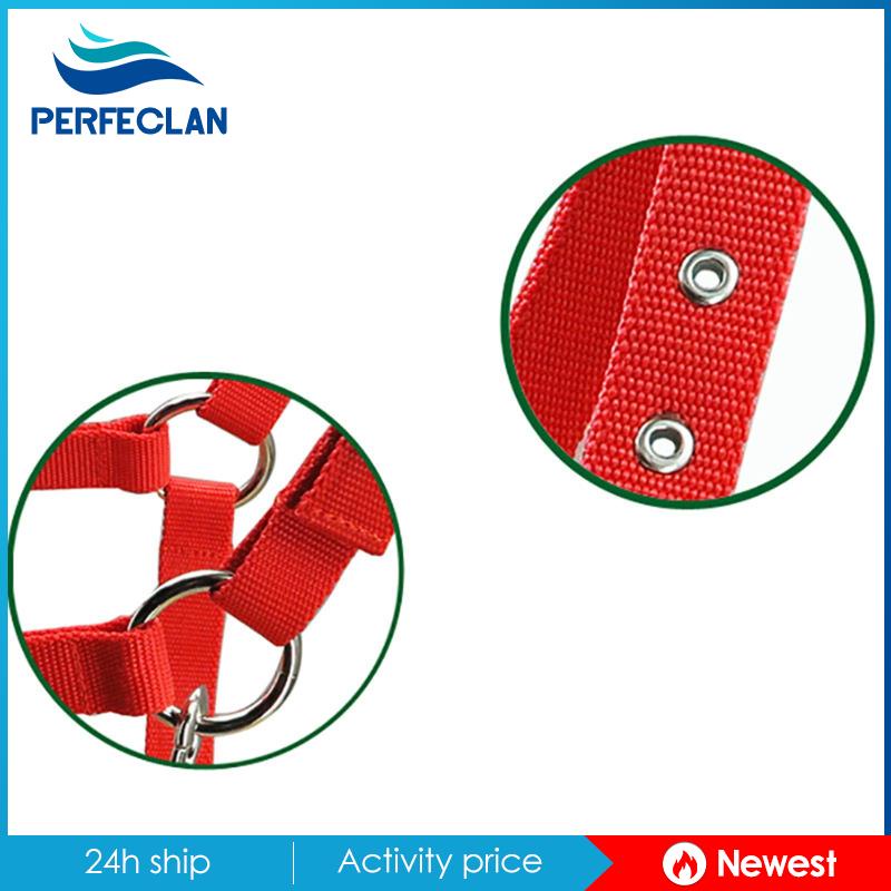 Dây Đeo Đầu Có Đệm Ngựa Cob Có Thể Điều Chỉnh Cho Equestrian