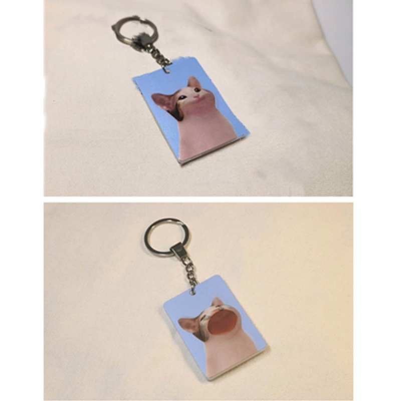 Winn cat keychain chìa khóa dễ thương treo chìa khóa trang trí người giữ ba lô túi xách charm
