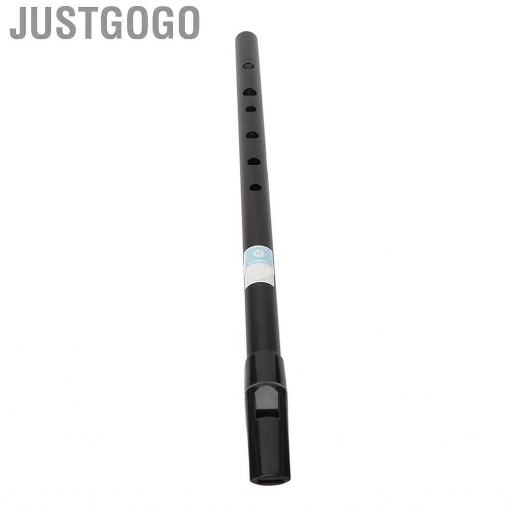 Justgogo D Tinwhistle  Precise Holes Whistle Flute Clear  Accurate  Easy Tuning for Performances