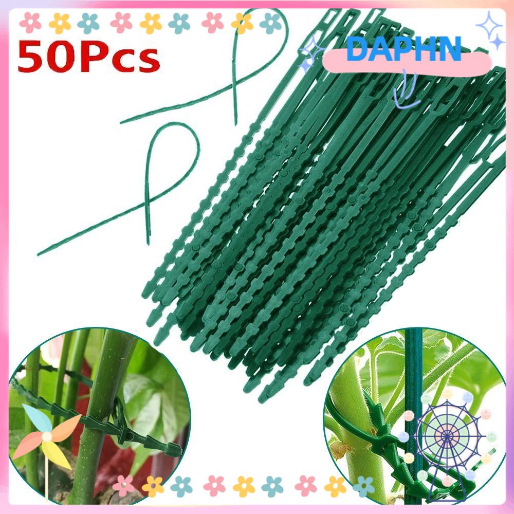 Daphs Dây Nhựa Buộc Cây Đa Năng Có Thể Điều Chỉnh Hỗ Trợ Leo Trèo