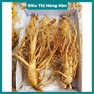 Sâm Tươi Hàn Quốc 5 củ /1kg