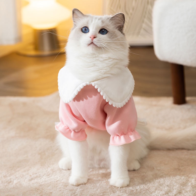Mèo con chó con quần áo ấm áp mềm mại phim hoạt hình thỏ in áo hoodie quần áo thú cưng áo len ren màu hồng váy cho chó quần áo nữ áo len dễ thương