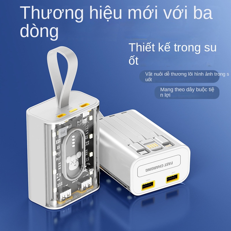 Pin Sạc Dự Phòng 20,000mAh Trong Suốt Tùy Chỉnh Hình Thú Cưng Dễ Thương Phong Cách Punk Mecha Lff0807