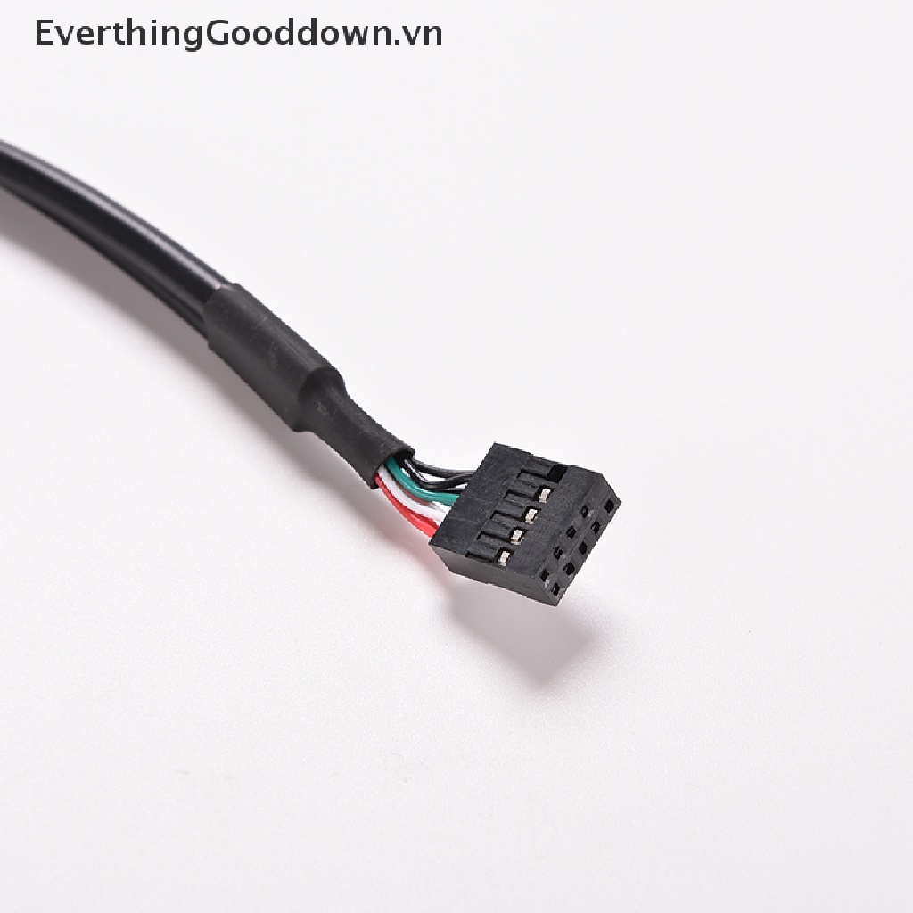 1 Cáp Chuyển Đổi Từ Giác Cắm USB A Sang Ổ Cắm 9 Pin 30cm / 1FT 2 Cổng Tiện Dụng