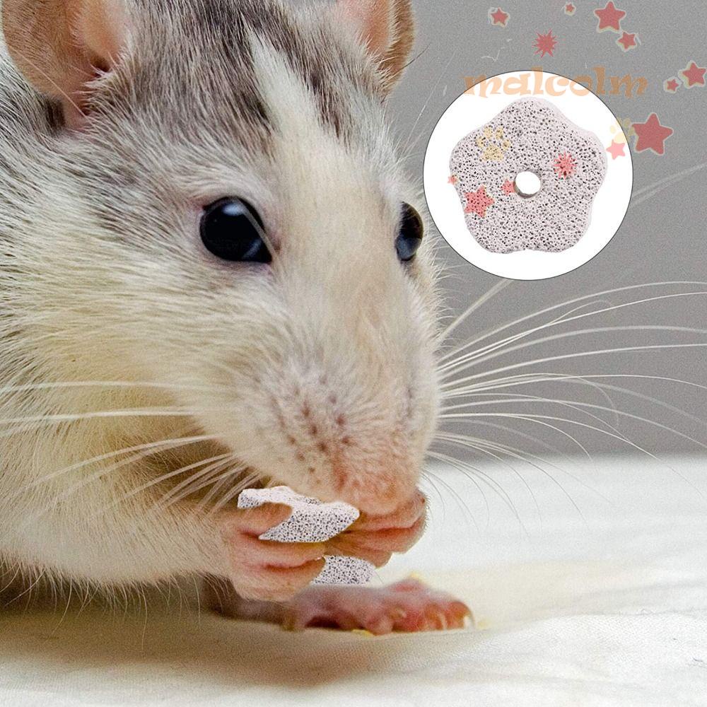 Khối Đá Nham Thạch Hình Hoa Chuyên Dụng Cho Thỏ / Sóc / Chuột Lang