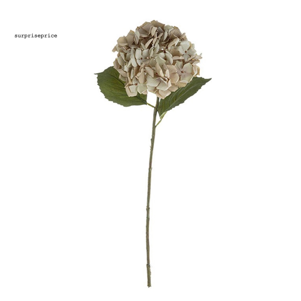 Spa Cánh Hoa Nhân Tạo Nhiều Lớp Dùng Trang Trí Phòng Khách / Tiệc Tùng DIY