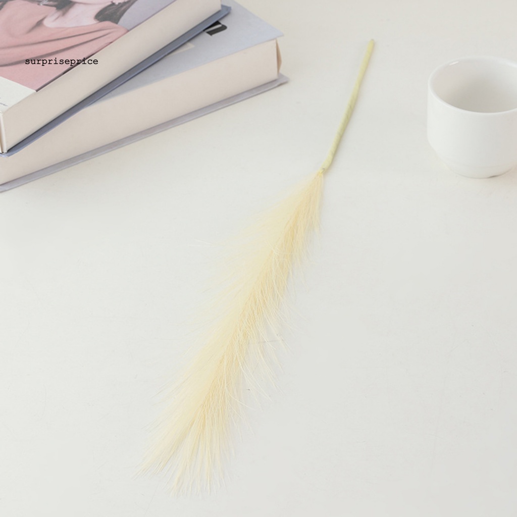 Cỏ Pampas Giả Nhiều Màu Dùng Trang Trí Tiệc Cưới / SPA