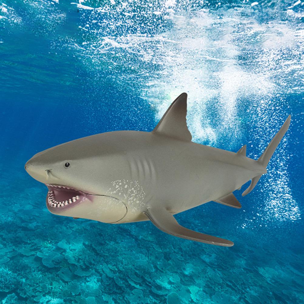 Mô Hình Cá Mập Biển O4W3 Sống Động