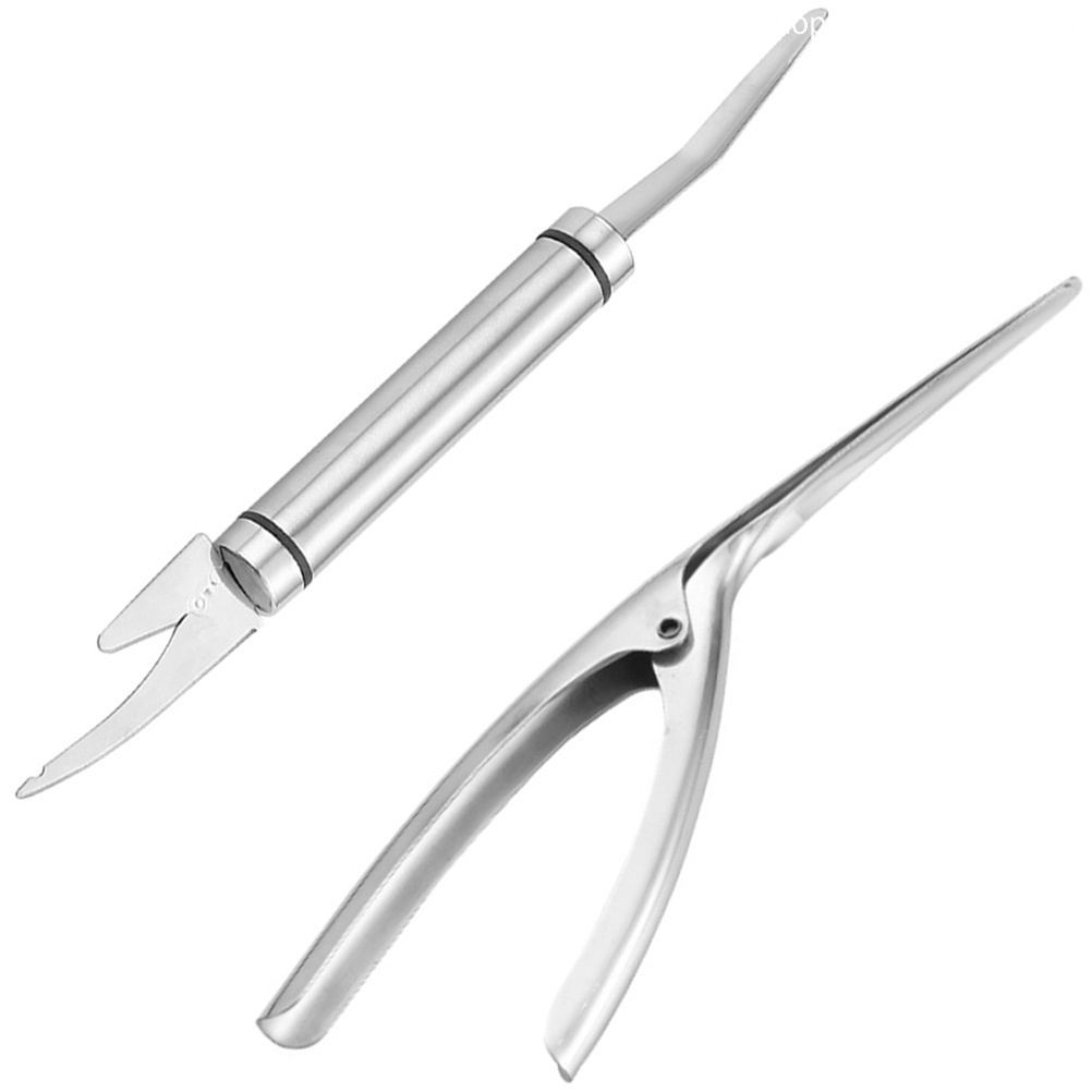 Dụng Cụ Làm Sạch Vảy Cá Bằng Thép Không Gỉ Sử Dụng Hàng Ngày