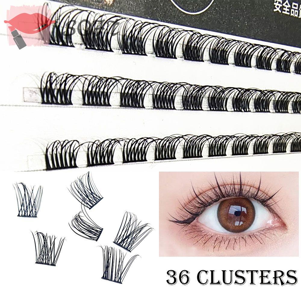 Hộp 36 Cụm Lông Mi Giả SOFTNESS