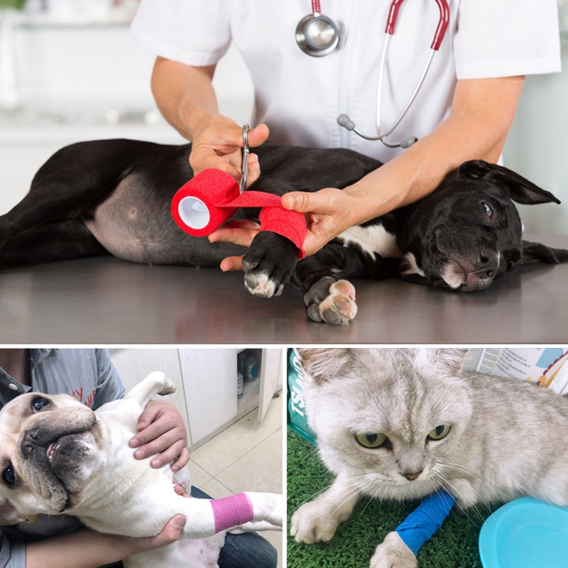 Băng Quấn Bảo Vệ Đầu Gối / Vai / Tay Co Giãn Tự Dính Nhiều Màu Tùy Chọn Hỗ Trợ Chơi Thể Thao