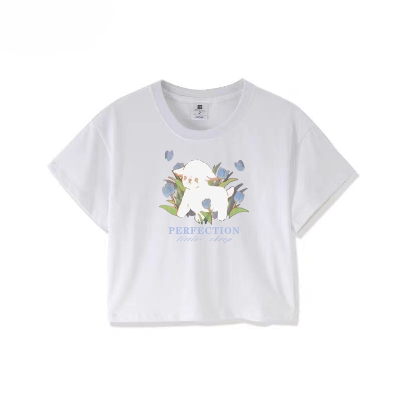 Áo baby tee Thun croptop nữ Tay Ngắn Dáng Ôm Màu Trắng Phong Cách Thời Trang Mới Mùa Hè Cho Nữ