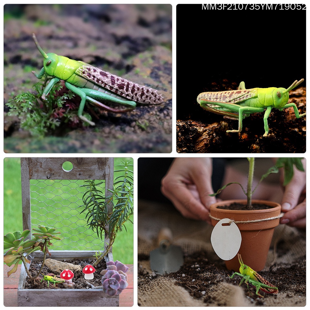 Đồ Chơi Mô Hình Động Vật Bằng Nhựa Treo Tường Giáo Dục Cho Bé