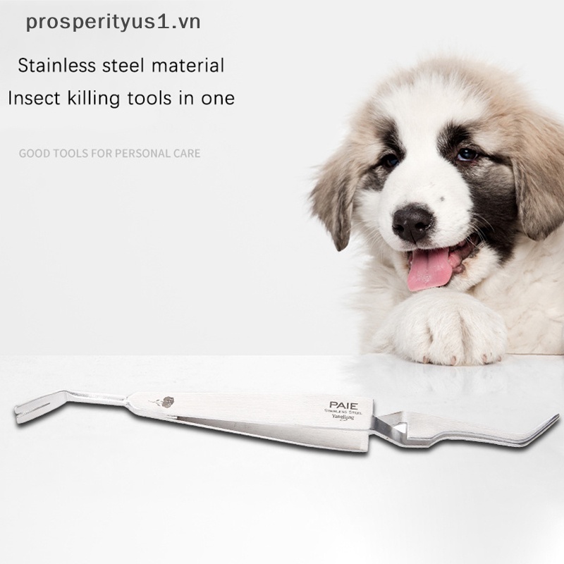 Nhíp Nhổ Lông Mèo Chuyên Nghiệp Bằng Thép Không Gỉ 2 Trong 1