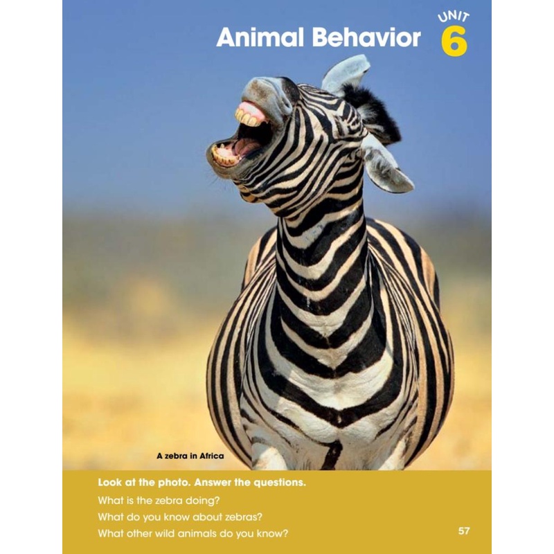 Look 3 Student's Book )