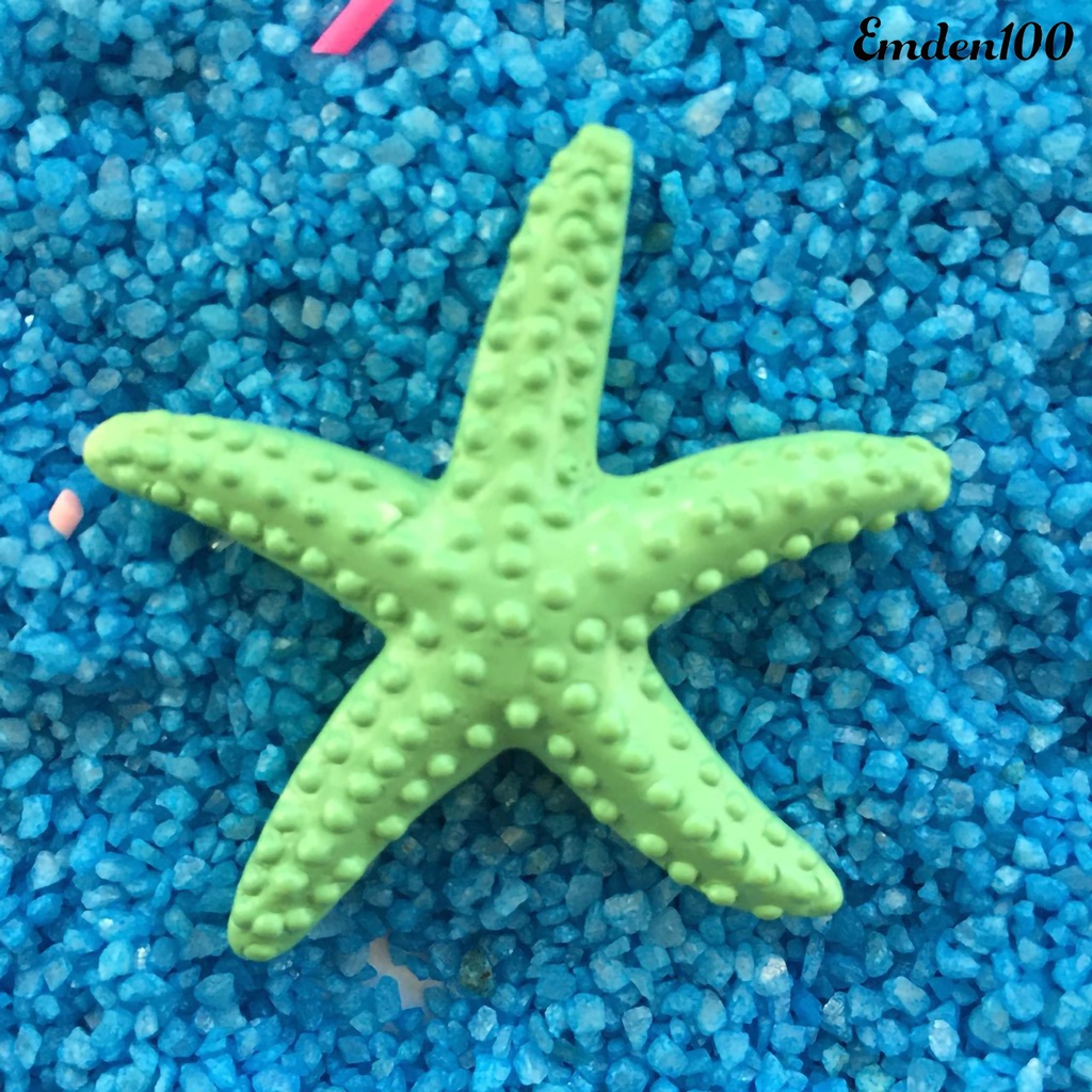 [EMDEN] Ngôi Sao Biển Sống Động Như Thật Bằng Nhựa Dễ Thương Gắn Tường