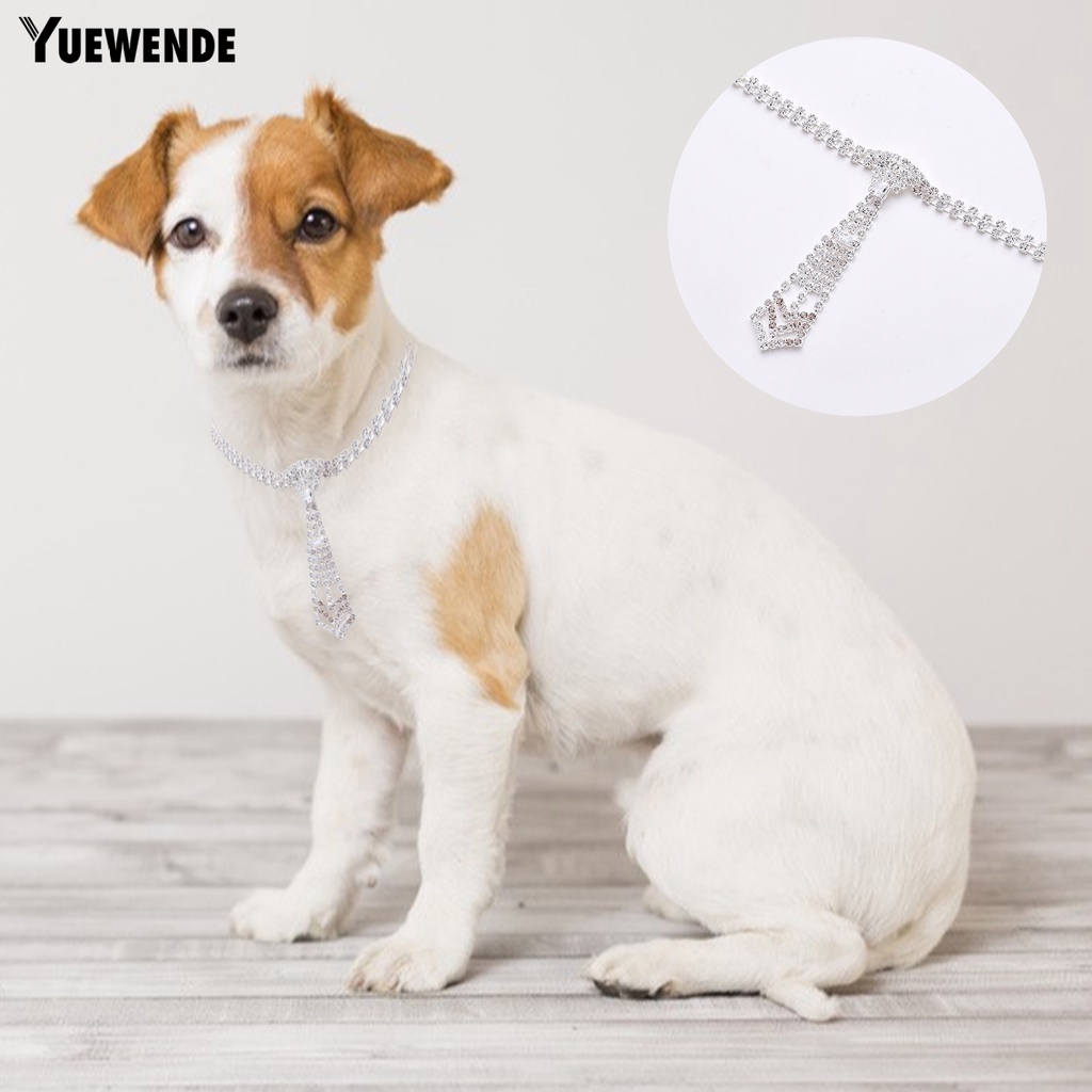 Vòng Cổ Thú Cưng Mặt Sáng Bóng Trang Trí Lễ Hội