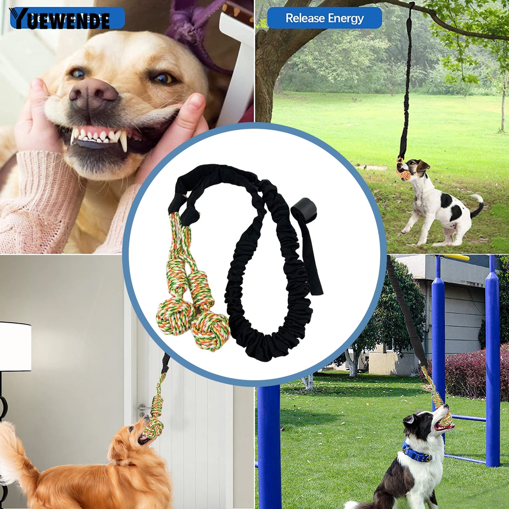 Yq.e Đồ Chơi Dây Thừng Co Giãn Tốt Giảm Căng Thẳng Làm Sạch Răng Chống Rách Cỡ Nhỏ Vừa Lớn Cho Cún Cưng Trong Nhà / Ngoài Trời