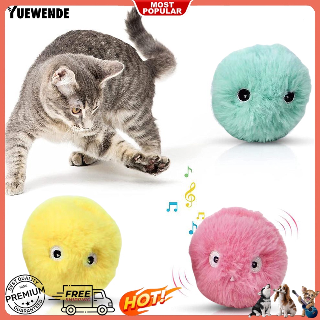 Đồ Chơi Bắt Bóng Bằng EVA Họa Tiết Hoạt Hình Phát Sáng Giúp Giảm Căng Thẳng Dành Cho Mèo Cưng