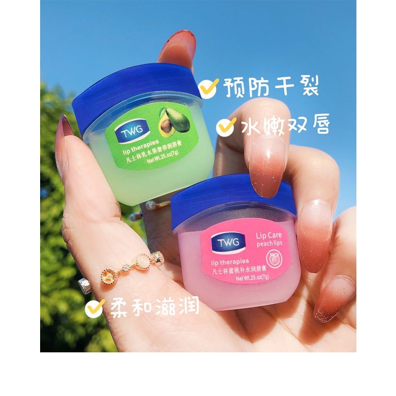 Son Dưỡng Ẩm Vaseline Tẩy Tế Bào Chết Làm Mờ Vân Môi/Dưỡng môi VANCILIN 7g dạng hũ LOẠI RẺ cho KHÁCH SỈ đủ vị  Sáp Son Dưỡng Môi VANCILIN