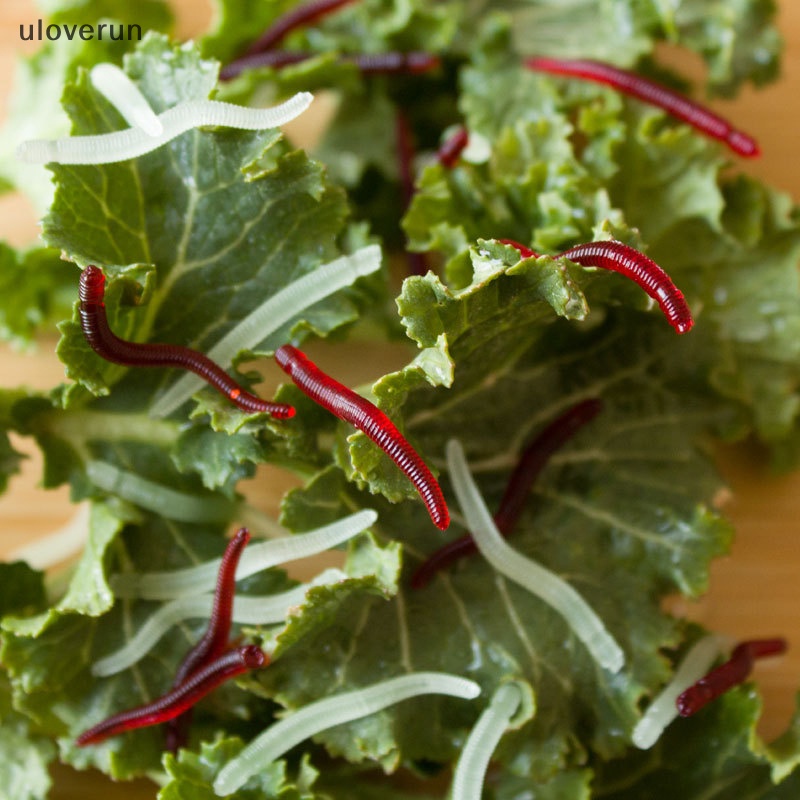 Set 100 Mồi Câu Cá Nhân Tạo Bằng Silicon Mềm Hình Giun Đỏ Sống Động