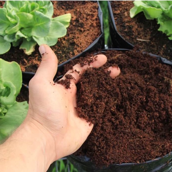 5dm3 Mụn Xơ Dừa Trồng Rau, Hoa Kiểng