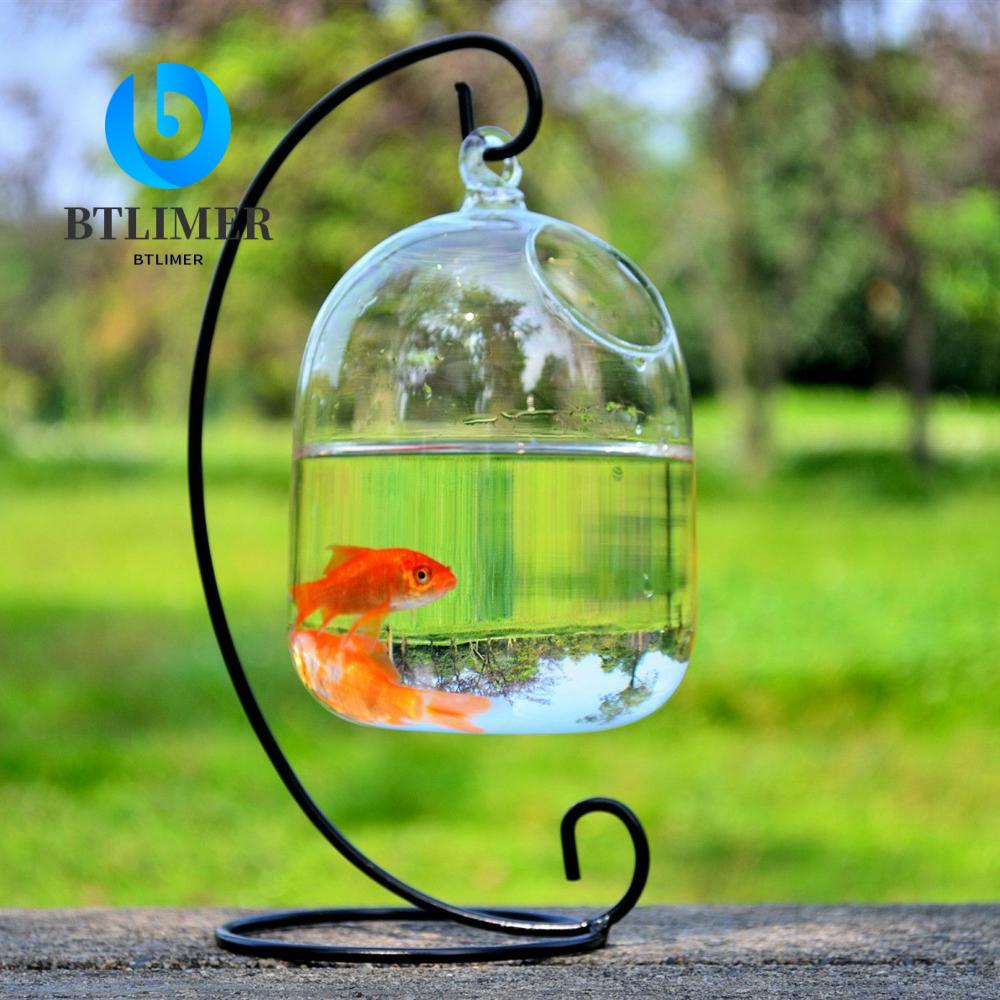 BTLIMER Bể Cá Thủy Tinh Mini Có Giá Đỡ Treo Trang Trí Nhà Cửa