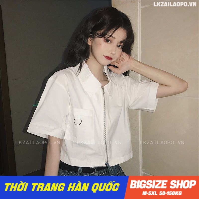 Áo sơ mi nữ tay ngắn Bigsize kiểu Áo croptop có cổ thiết kế khoá kéo trắng mùa hè Phong cách Hàn Quốc Thời Trang đẹp