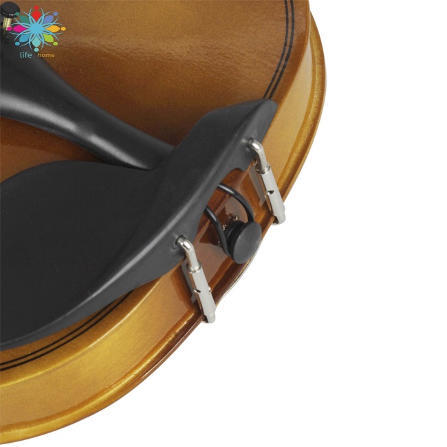 Đàn Violin Bằng Gỗ Trơn Kèm Hộp Đựng Dành Cho Người Mới Bắt Đầu