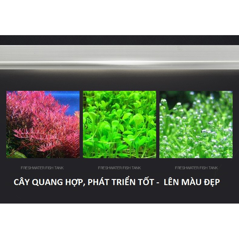 Đèn LED Odyssea Slim X 10000K - Đèn Led Odyssea Thuỷ Sinh Siêu Sáng