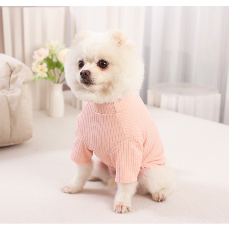 Áo Thun MàU SắC Đơn GiảN Cho Thú Cưng