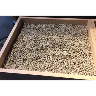 Cà phê hạt Moka Cầu đất nhân sống chưa rang - 0.5kg