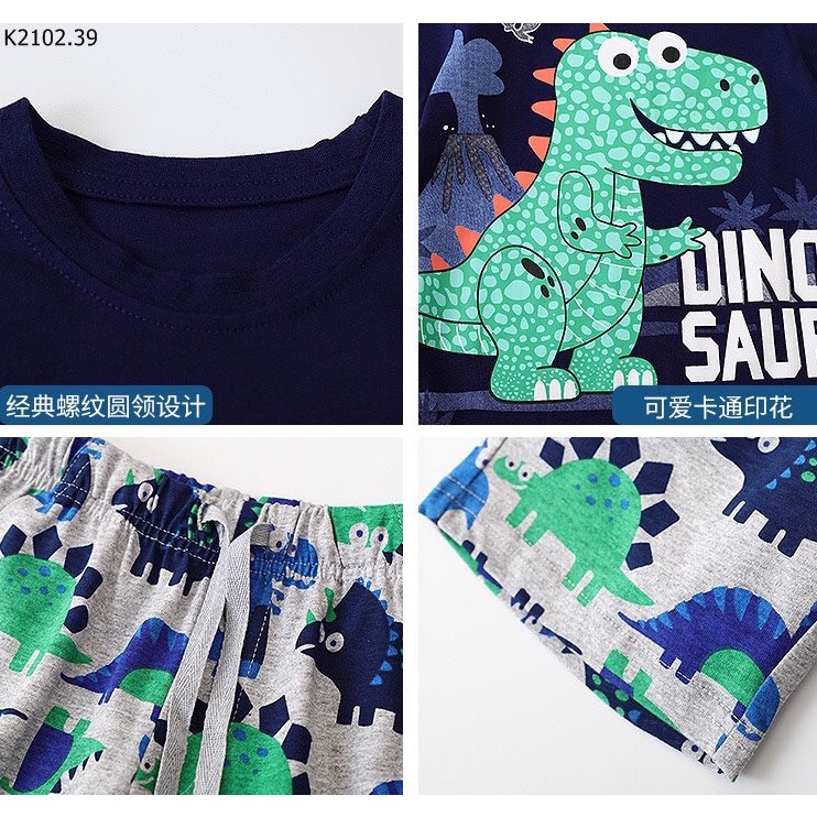 Set btrai khủng long