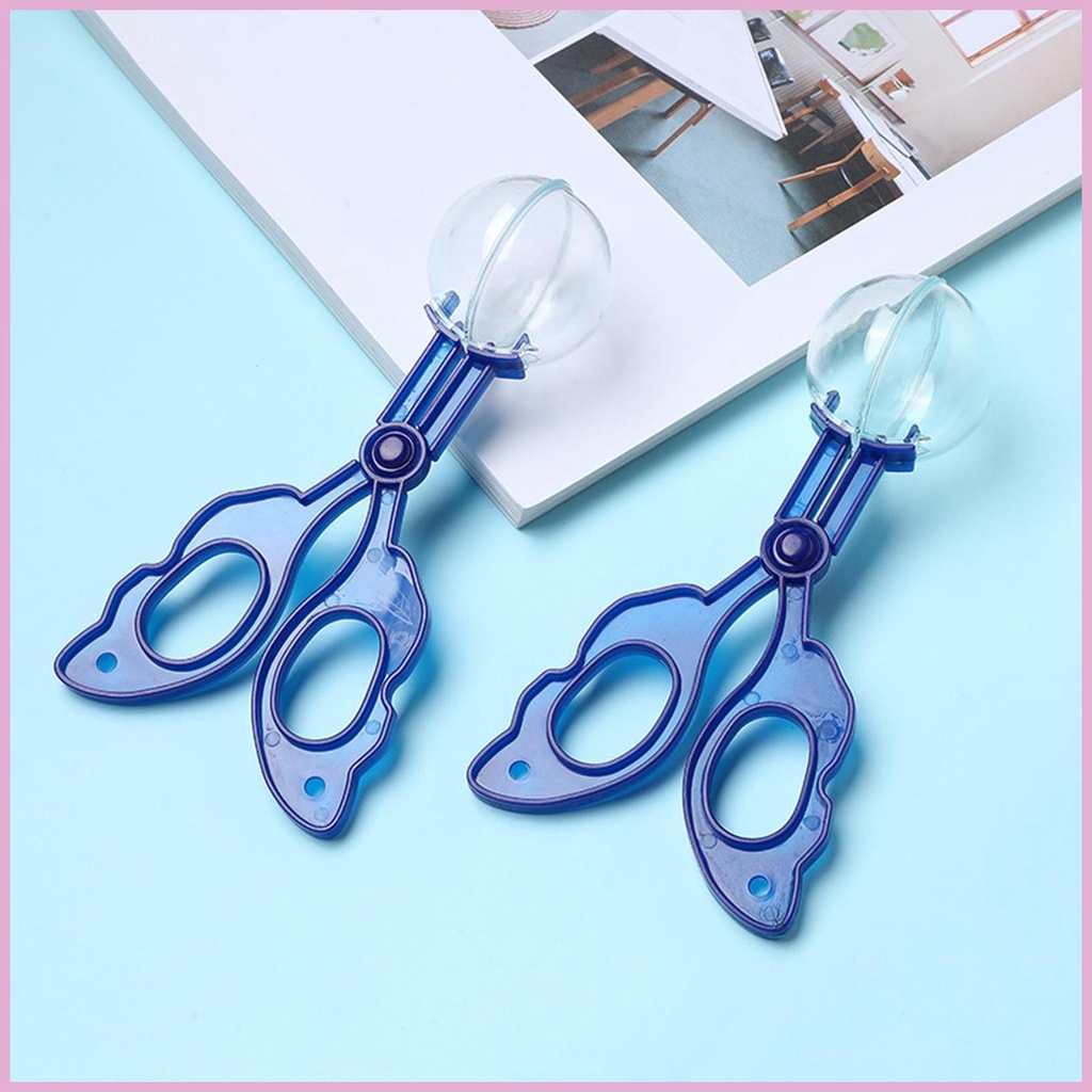 Đồ Chơi Bẫy Côn Trùng Tự Nhiên Cho Trẻ Em