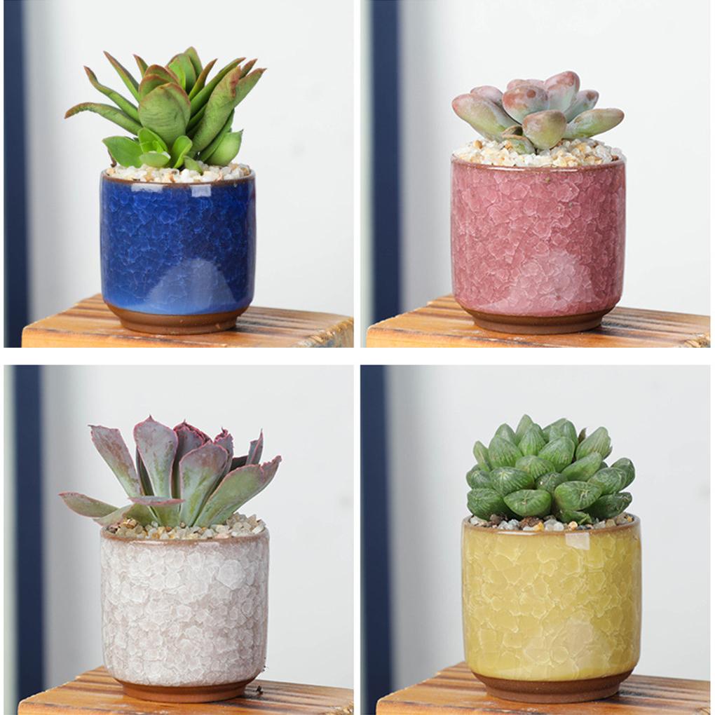 Bộ 6 Chậu Hoa Sứ Mini Để Bàn Trang Trí