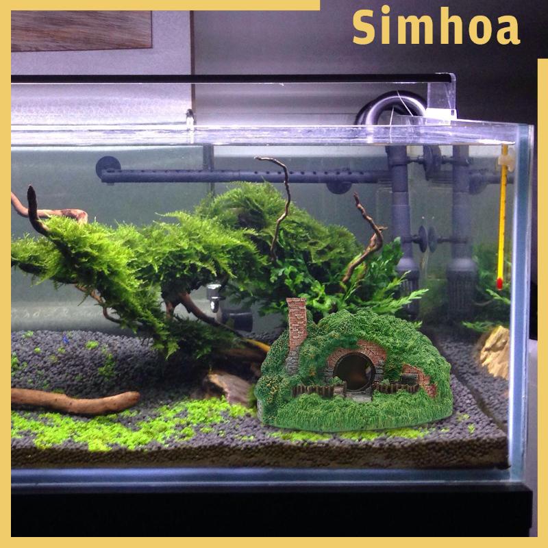 Hang Hang Hang Động Dùng Trang Trí Bể Cá