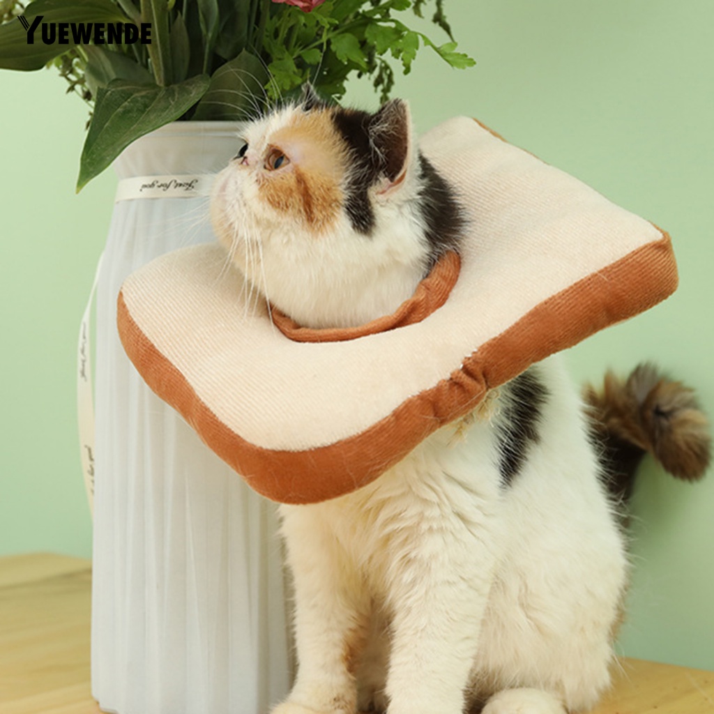 Vòng Cổ Hình Nón Bảo Vệ Cho Thú Cưng Khi Tắm