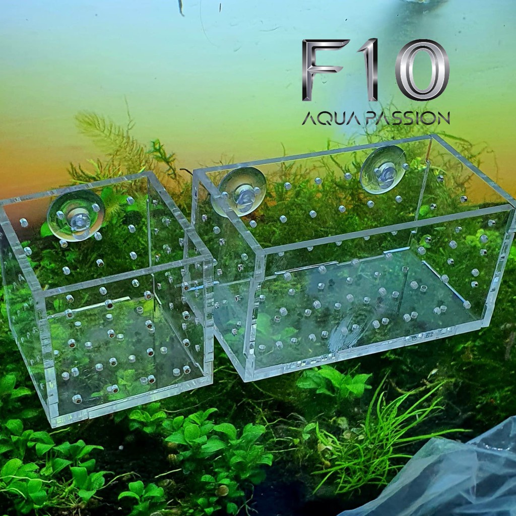 Cốc Trồng Cây Thủy Sinh Cốc đựng phân nền Mica Đẹp Rẻ Và Tiện Dụng -Shop chuyên sỉ phụ kiện thủy sinh